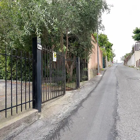 Il Vigneto Farma Diano Castello