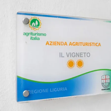 Farma Il Vigneto Diano Castello