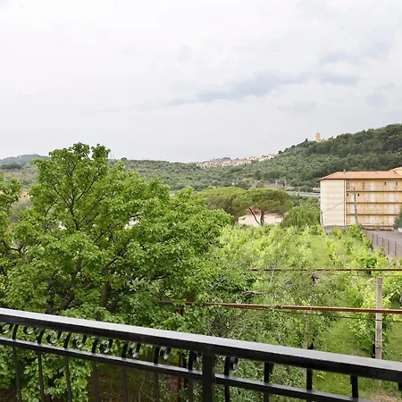 Il Vigneto *