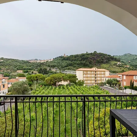 Il Vigneto *